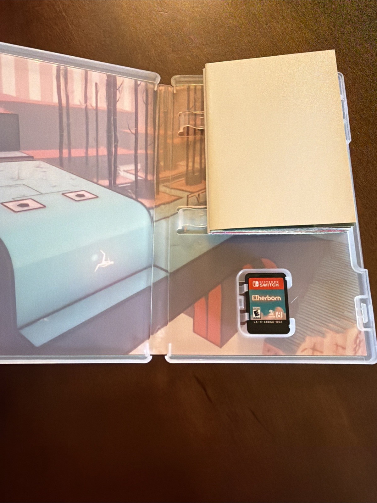 Etherborn – Nintendo Switch – ESRB – iam8bit Exclusive Edition, Tested CIB