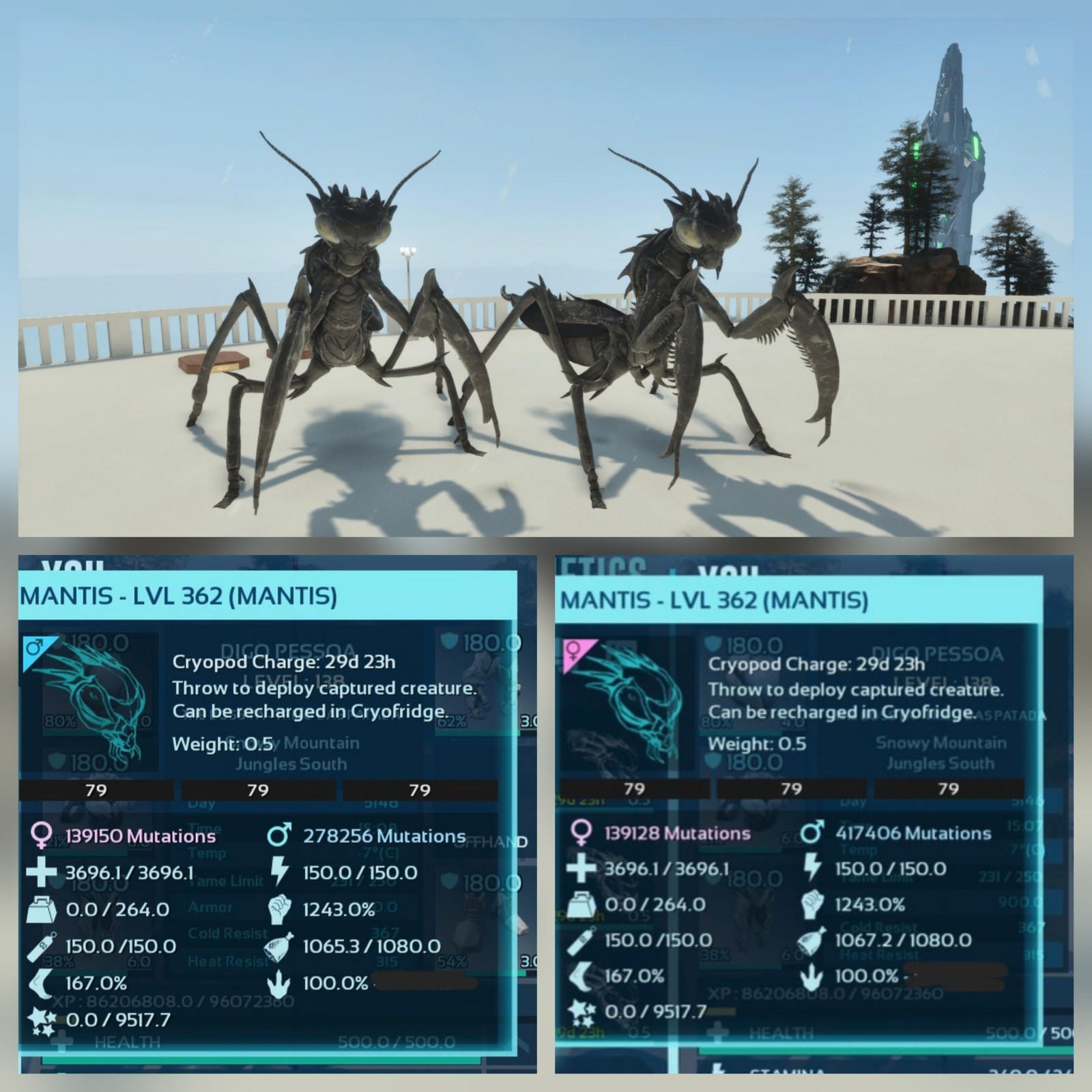 MANTIS BLACK #79 ADULT 100% IMPRINT PAIR TOP STATUS ARK ASCENDED PVE PC/XBOX/PS5