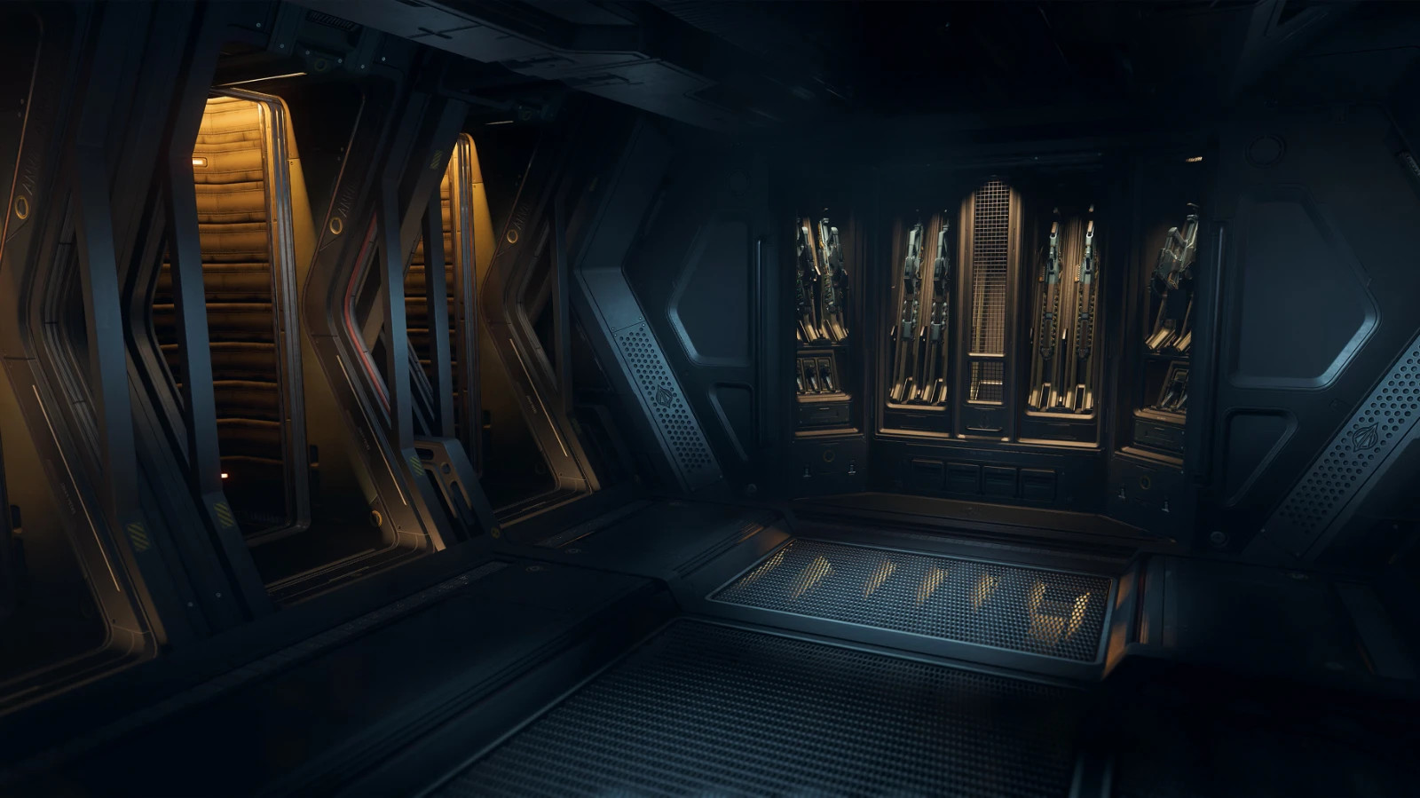Star Citizen Paladin LTI Lifetime Insurance CCUd – Space Vendor