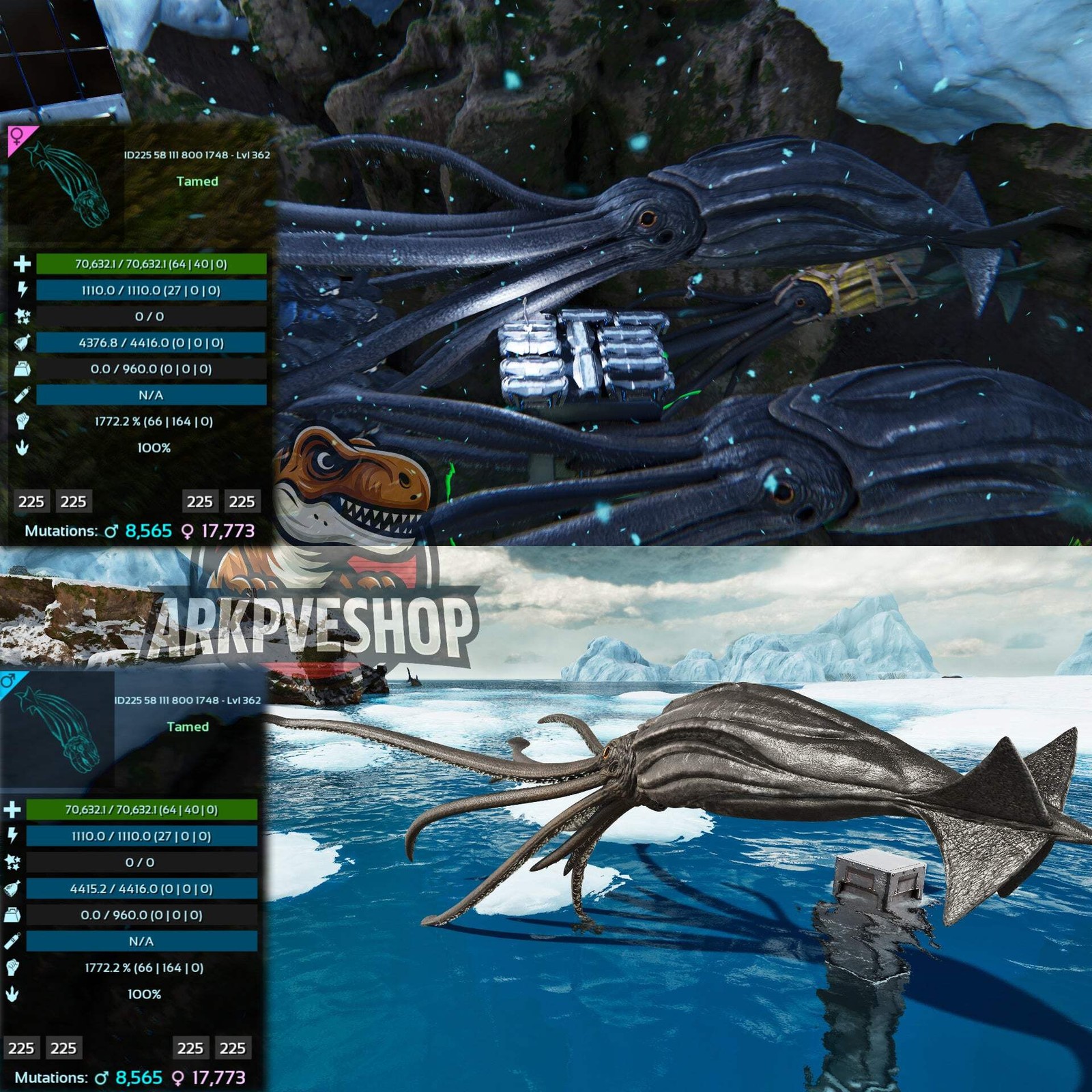 Tuso ASA PVE 🦖ARK Survival Ascended Tusoteuthis 1772%Melee Imprinted
