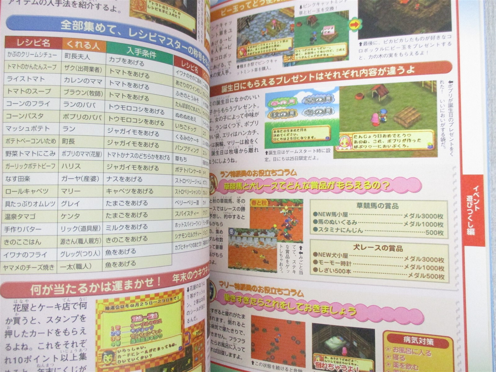 BOKUJOU MONOGATARI 2 Harvest Moon Guide Nintendo 64 Book 1999 Japan MW