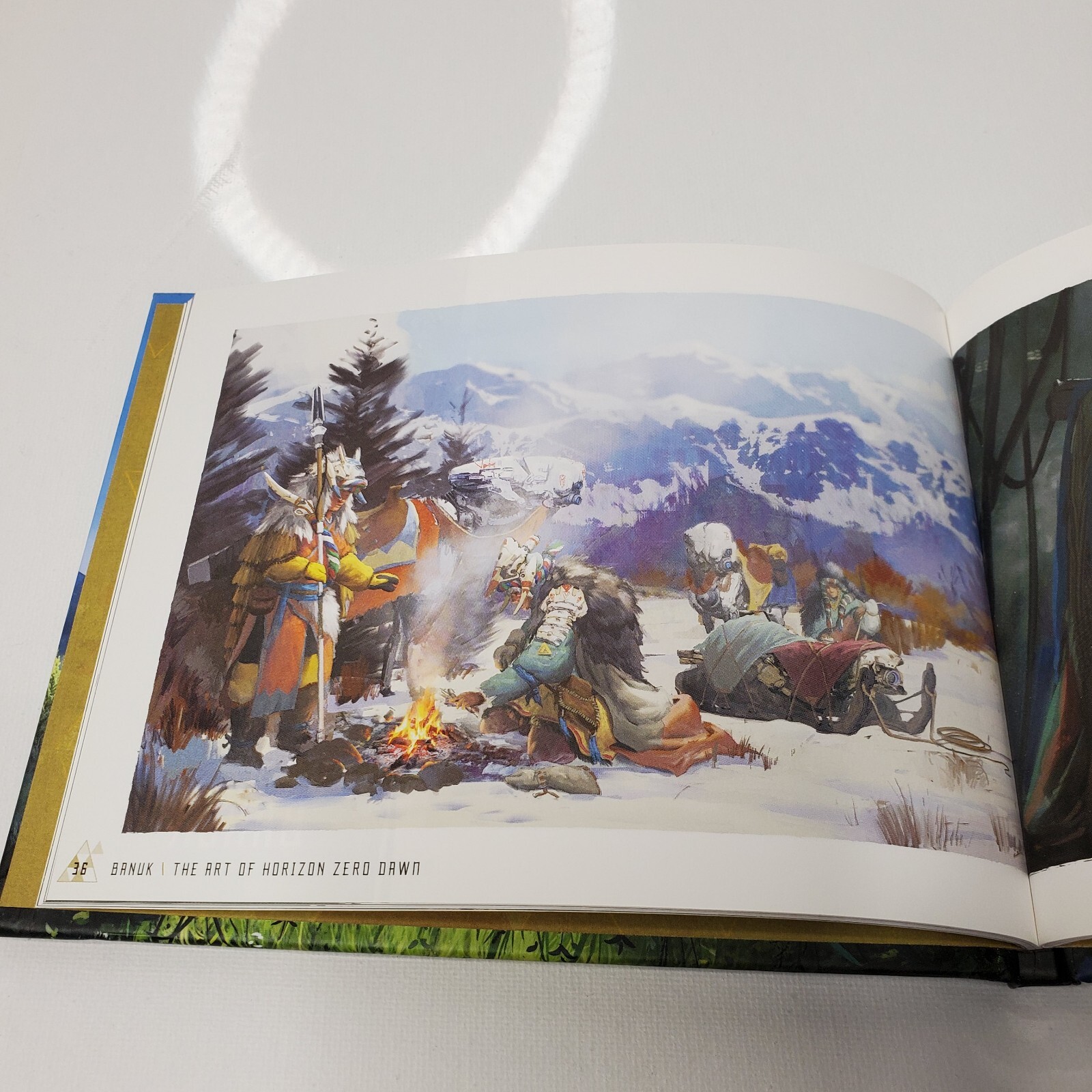 Horizon Zero Dawn : Aloy Collector’s Edition