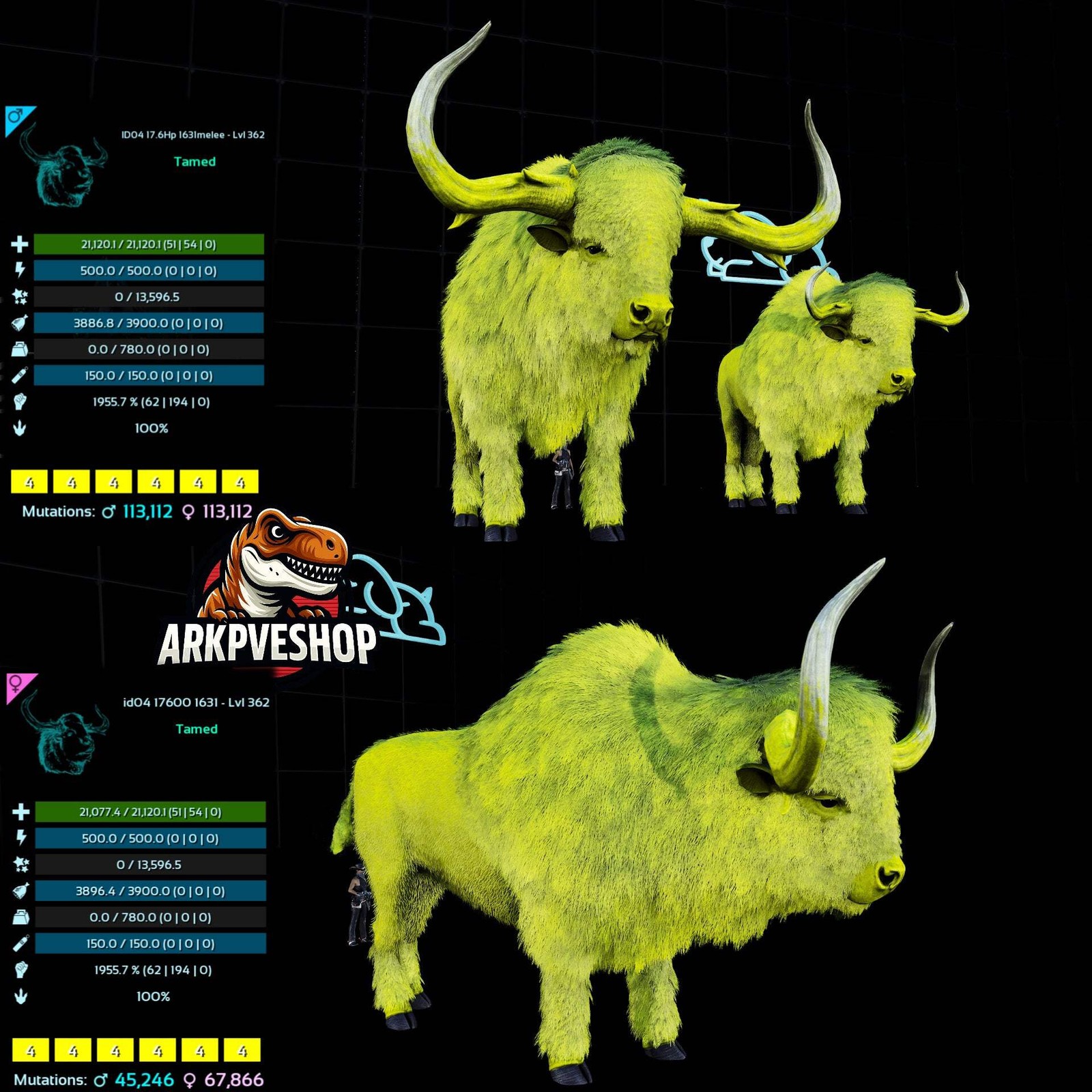 ASA PVE 🦖ARK Survival Ascended Bison 362Lvl 1955.7% Melee