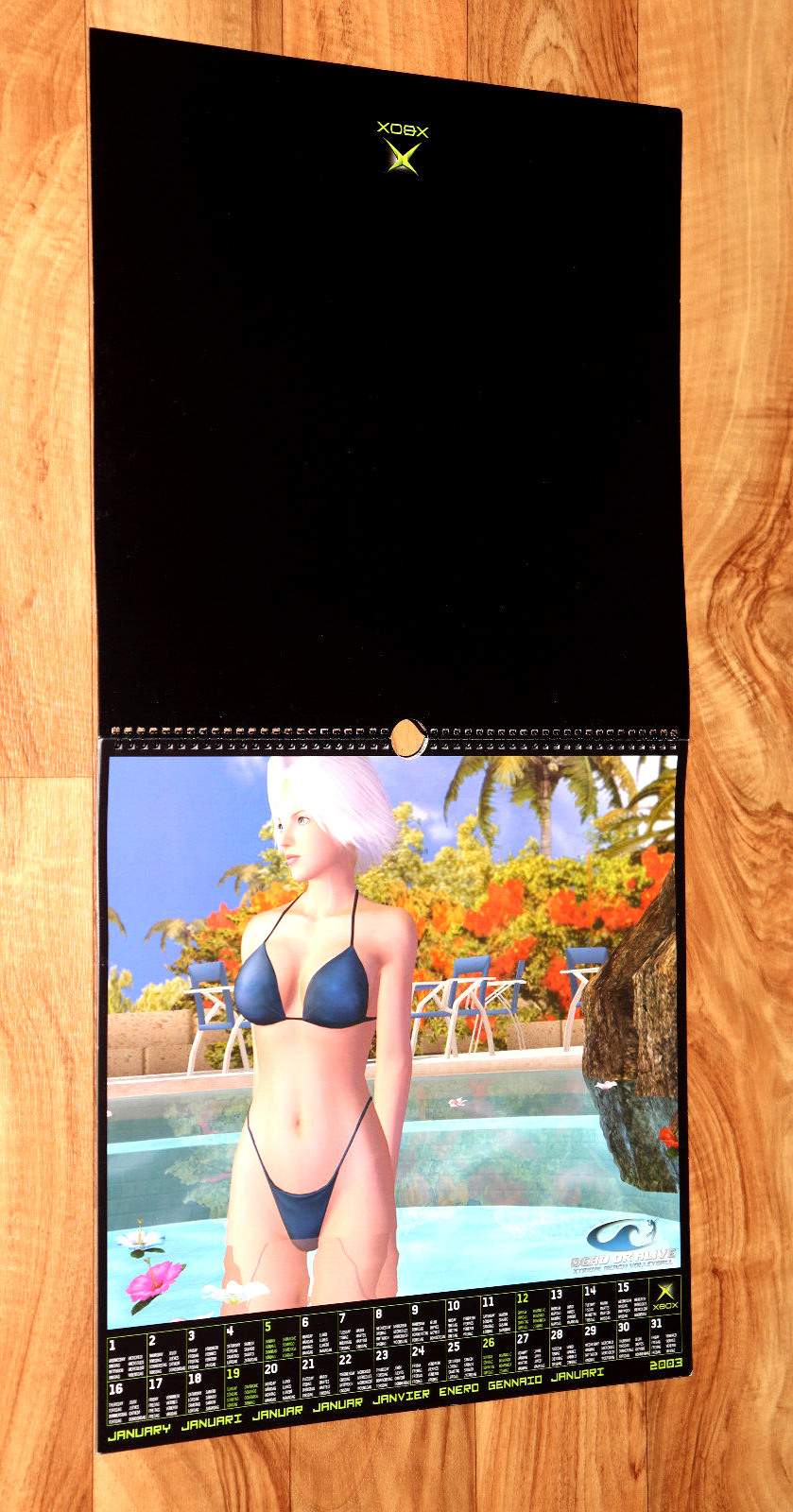 2003 Dead or Alive Xtreme Beach Volleyball Very Rare Calendar Collectible