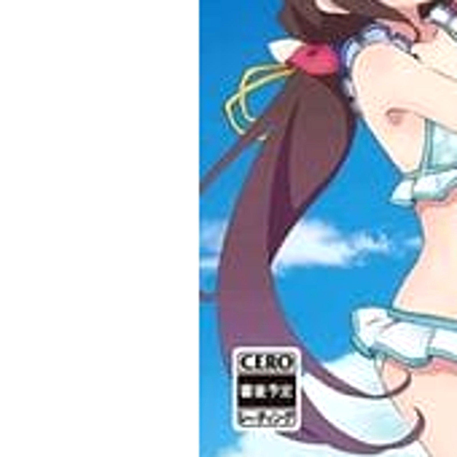The Ryuo’s Work is Never Done! Limited Edition PS4 NTSC-J CIB Digital Manual