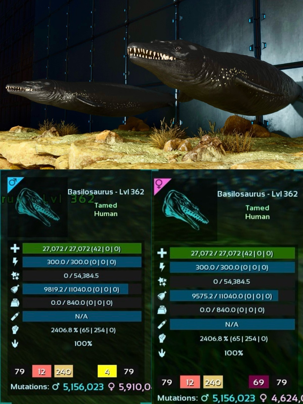 Basilosaurus Pair 2406% Melee, Black Basilo 100% Imprinted 79-Black