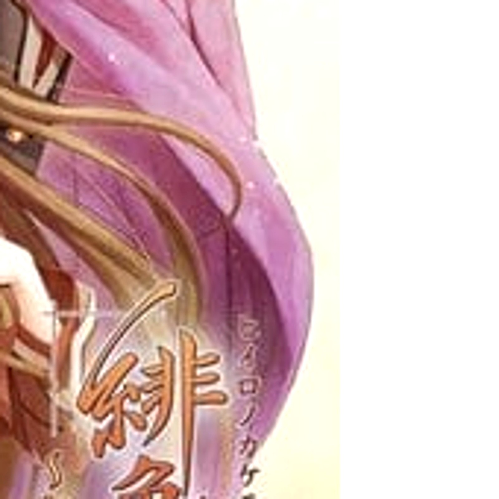 Hiiro no Kakera: Omoi Iro no Kioku PS Vita NTSC-J CIB Digital Manual