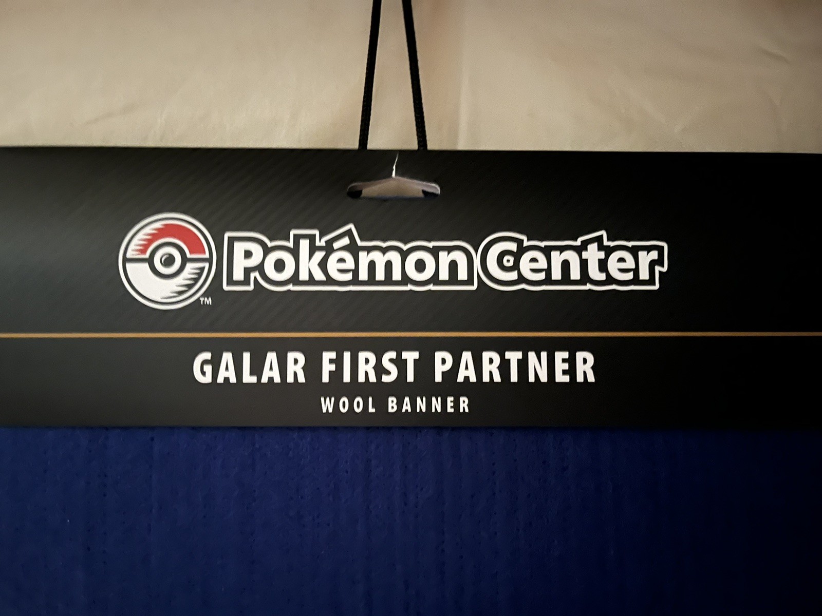 SOBBLE Galar First Partner 27.5” Blue Felt Wool Banner The Pokemon Company-NEW