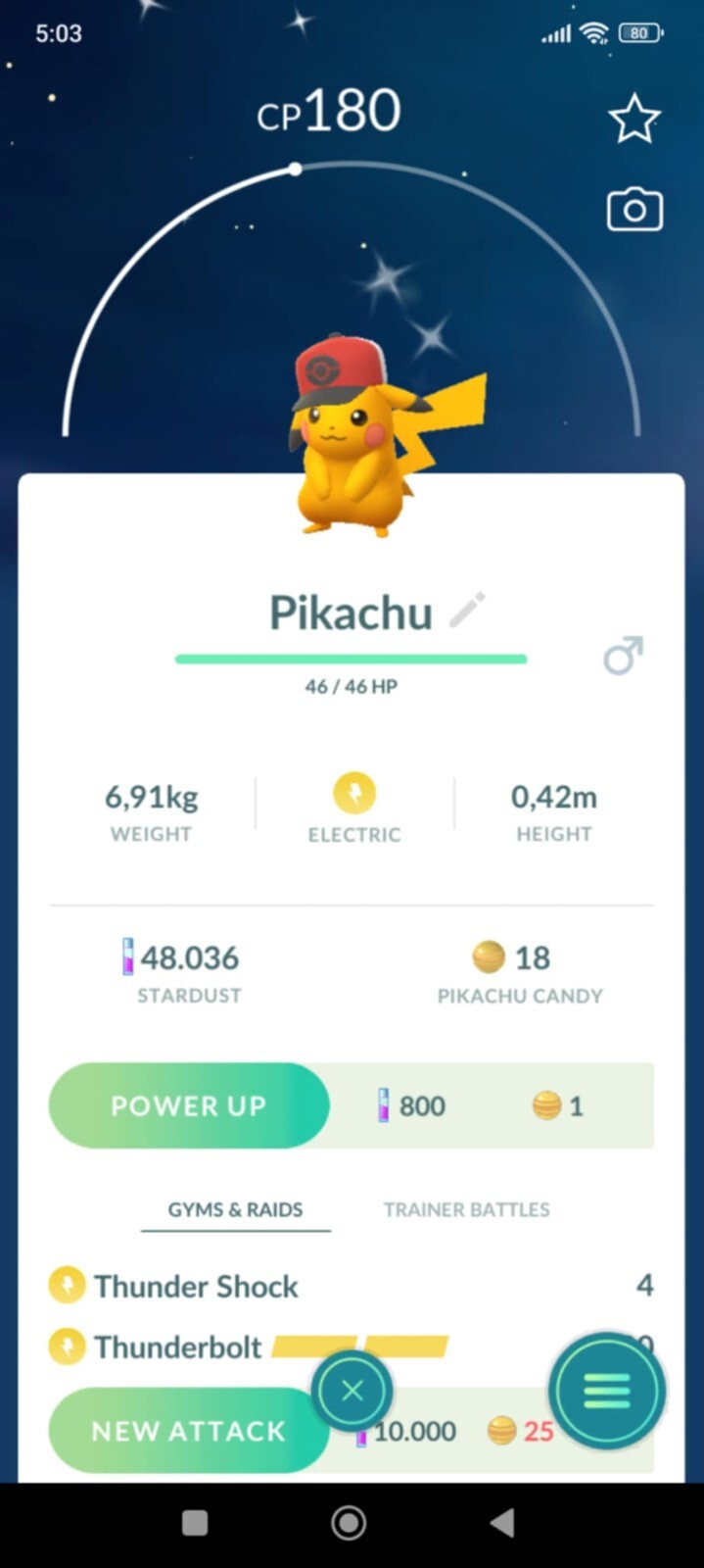 Pokémon – Shiny Hilbert’s Hat Pikachu Male- Female – P T C – Description-Digital
