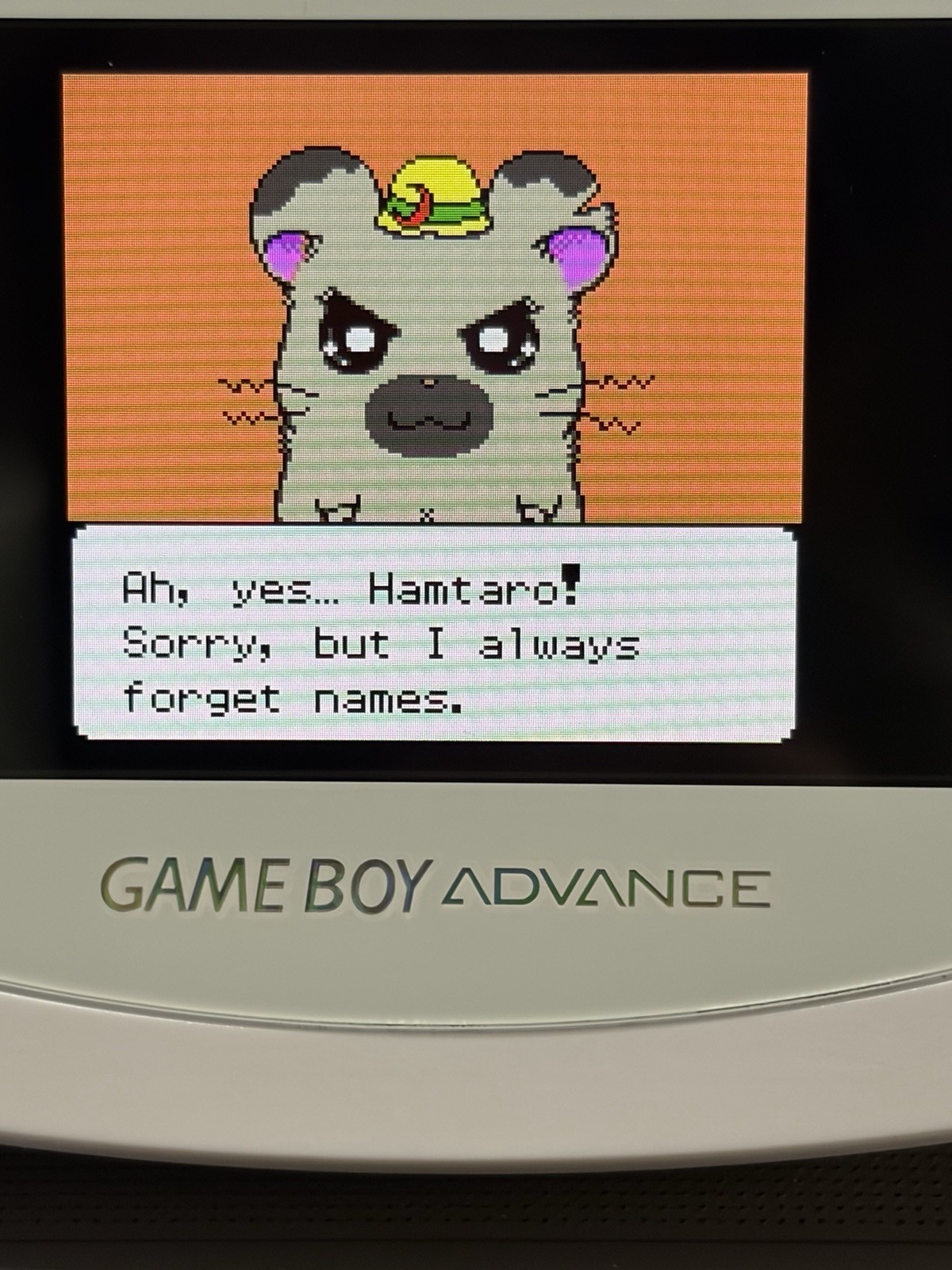 Hamtaro: Ham-Hams Unite (Nintendo Game Boy Color-GBC-TESTED-NEW BATTERY-NICE!!