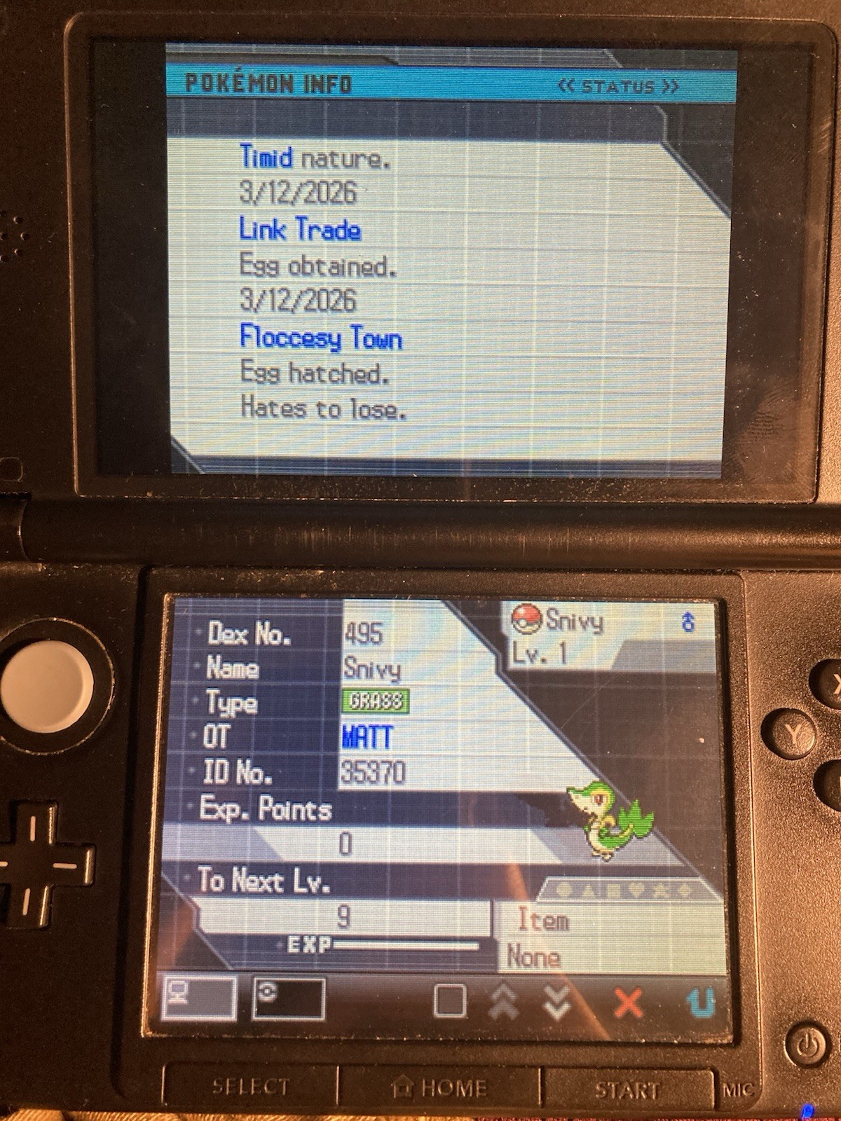 Pokemon Black & White / Black 2 & White 2 Features RESTORED