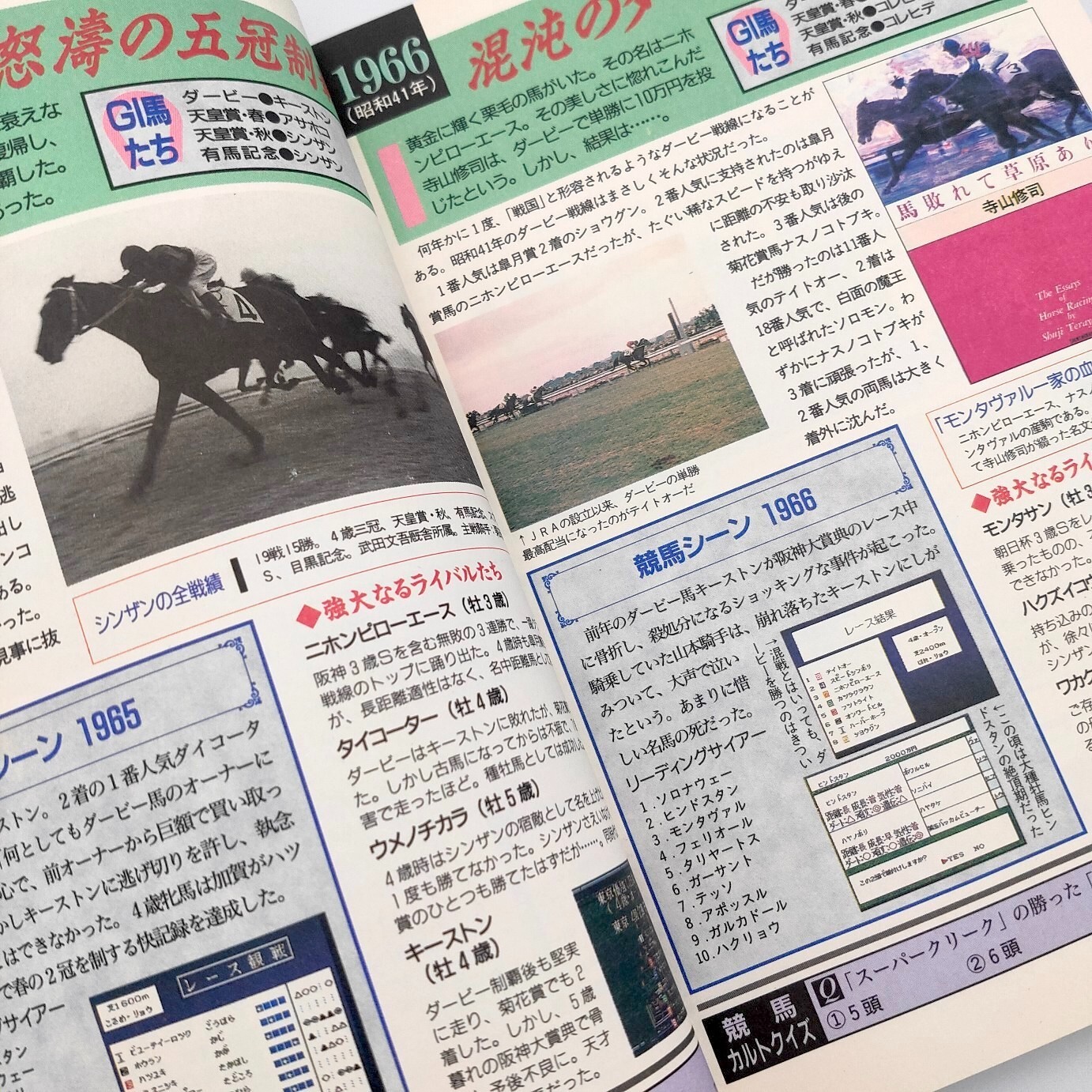 Thoroughbred Breeder 2 A book to play 100 times Guide Nintendo Super Famicom SFC