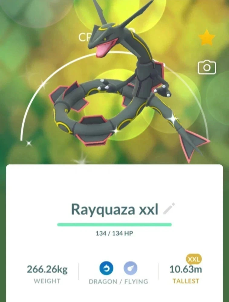Pokémon G0 — Shiny rayquaza XXL