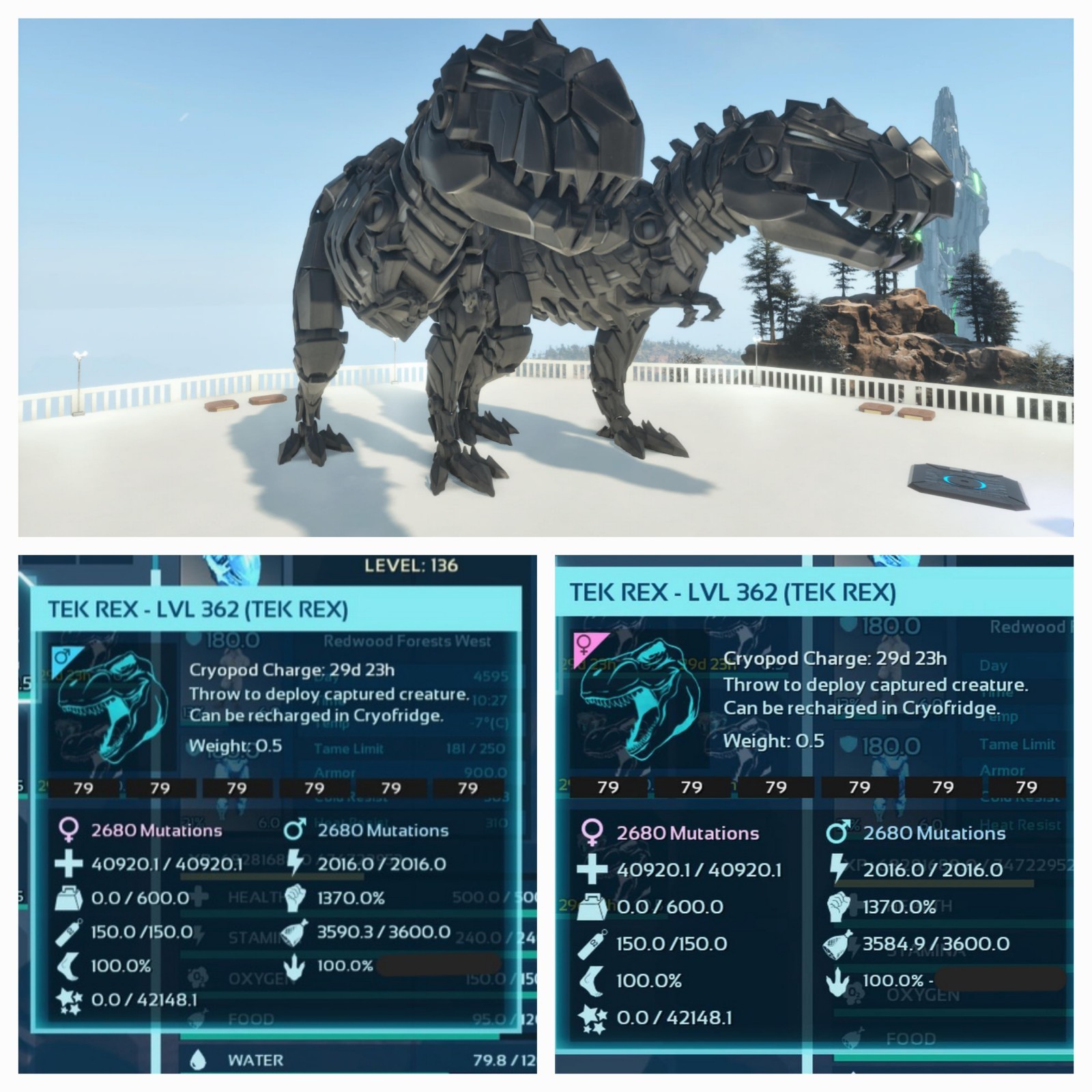 NEW TOP TEK REX BLACK #79 PAIR ADULT 100% IMPRINT ARK ASCENDED PVE. PC/XBOX/PS5.