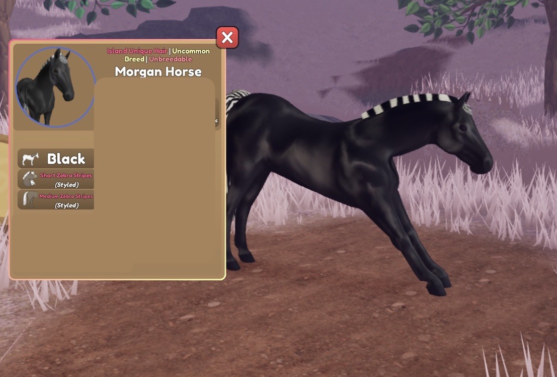 Wild Horse Islands 🌸 IUH NEW MORGAN Perfect Zebra Black 🌸