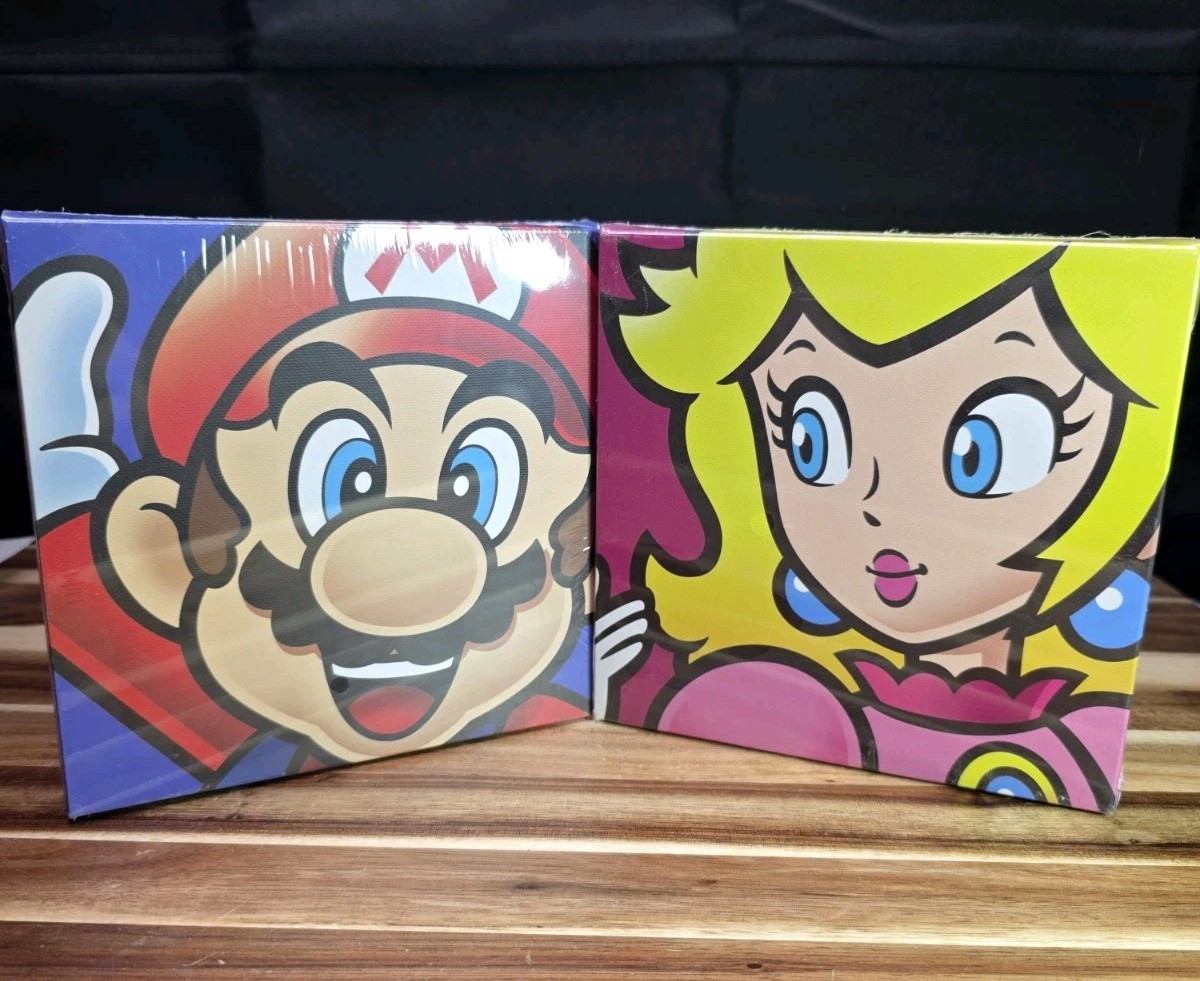 Super Mario & Princess Peach 6×6 Inch Canvas Open Box