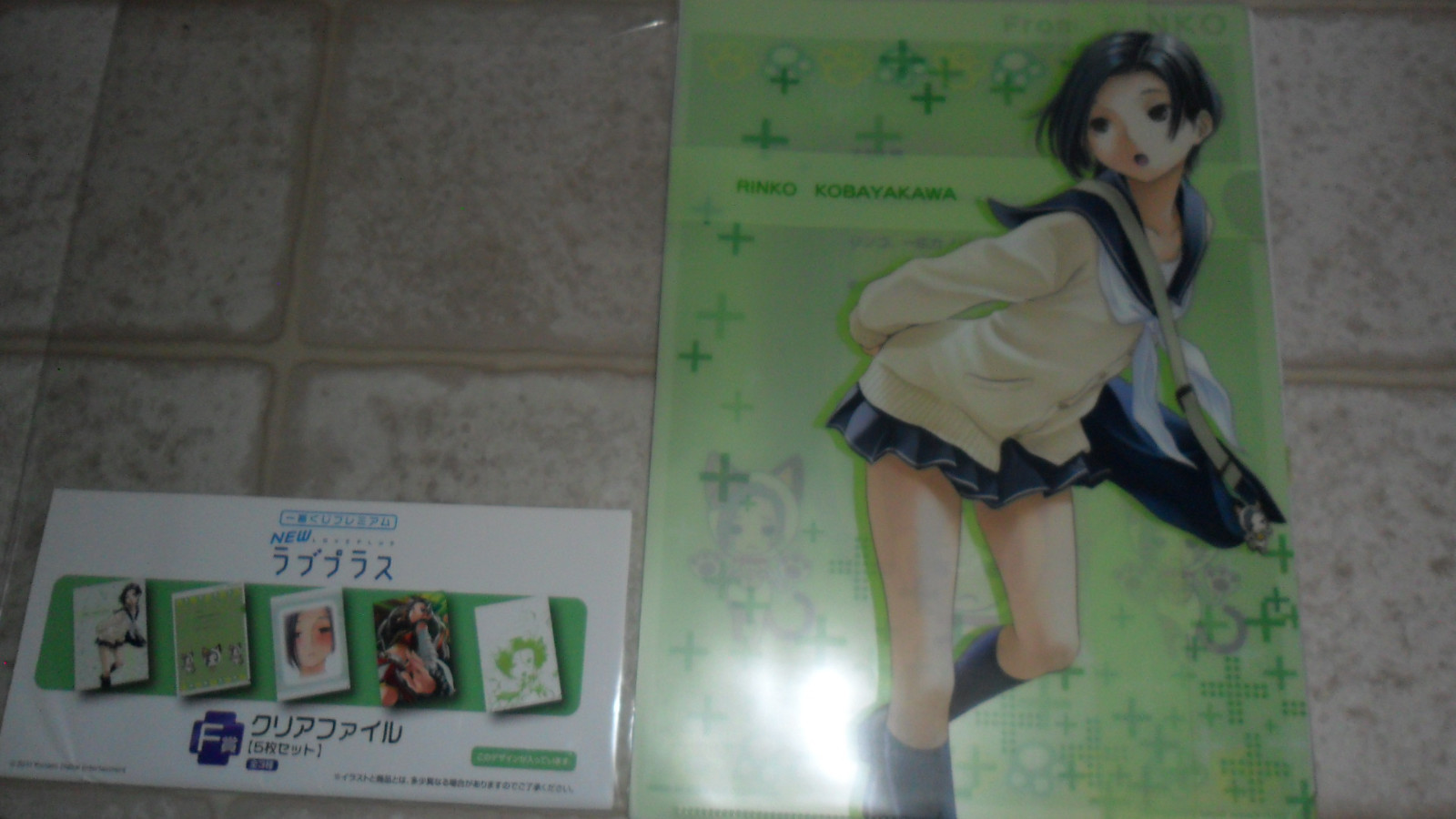 Nintendo DS Love Plus Loveplus Rare Promo Clear File Folder Set
