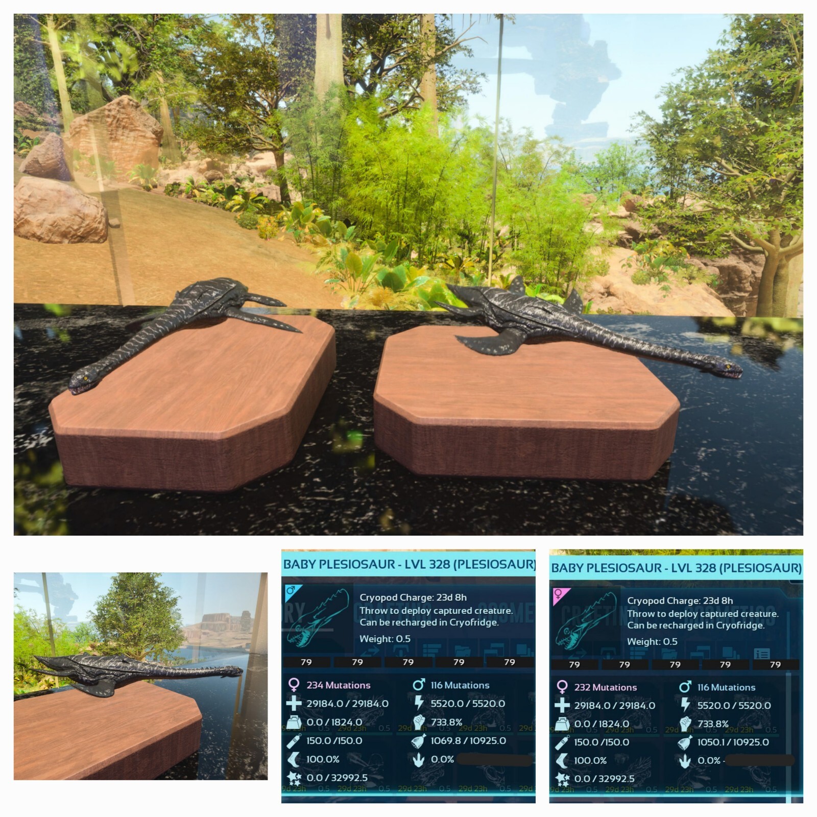 ARK ASCENDED PVE OFICIAL PAIR BABY PLESIO BLACK ID79 TOP STATUS PC/XBOX/PS5