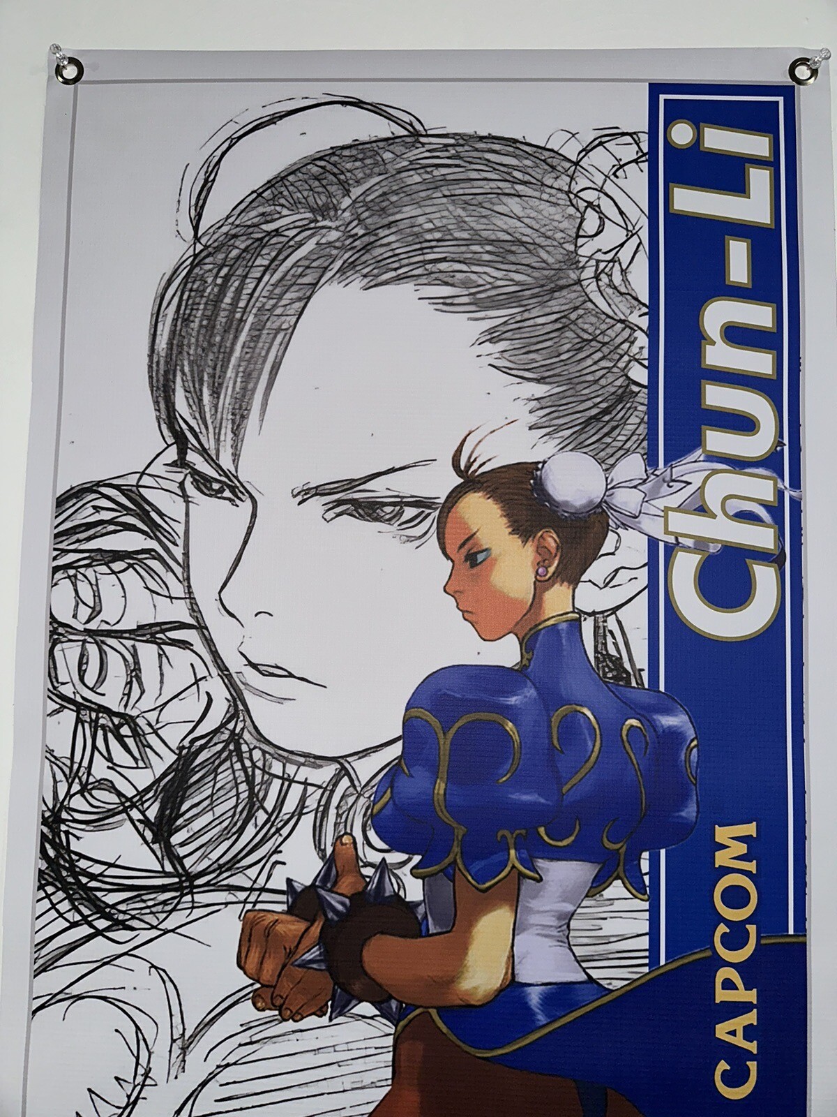 Street Fighter Third Strike Chun Li Banner 20”x50” CPS3 capcom arcade poster