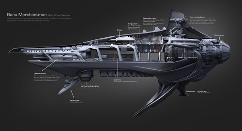 Star Citizen Merchantman LTI Lifetime Insurance CCUd – Space Vendor