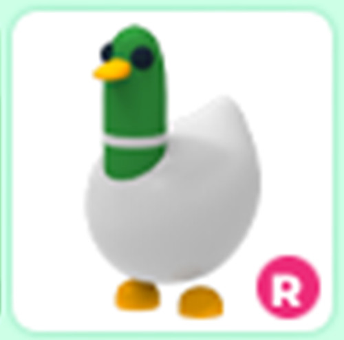 Silly Duck – Adopt right now