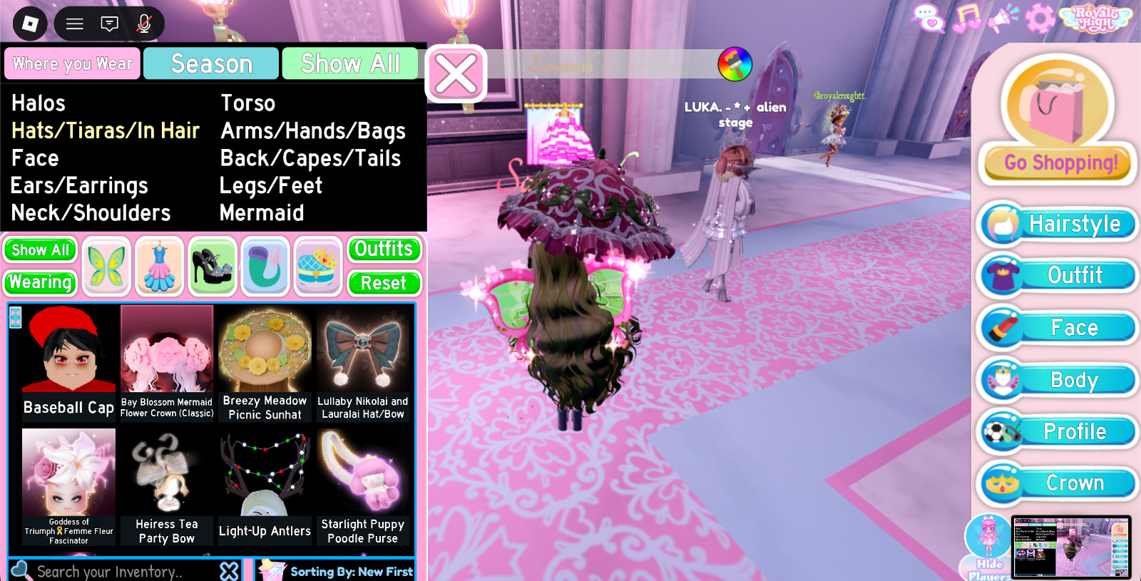 ROYALE HIGH ITEMS!!! SETS, ACCESSORIES, DIAMONDS