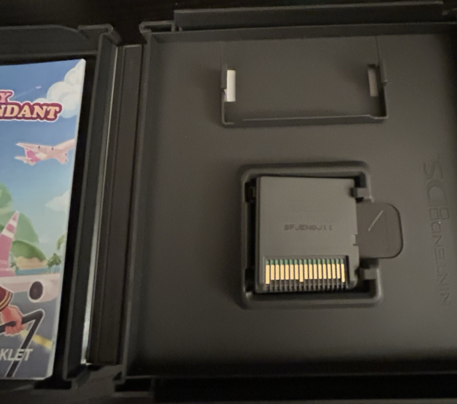 Nintendo DS Lets Play Flight Attendant Game