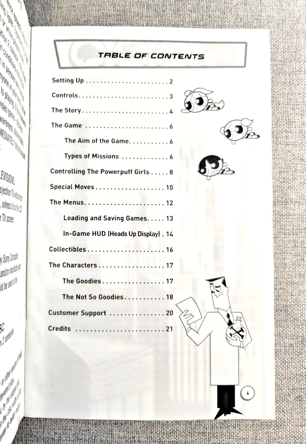 The Powerpuff Girls Relish Rampage Instruction Manual Only – PlayStation 2