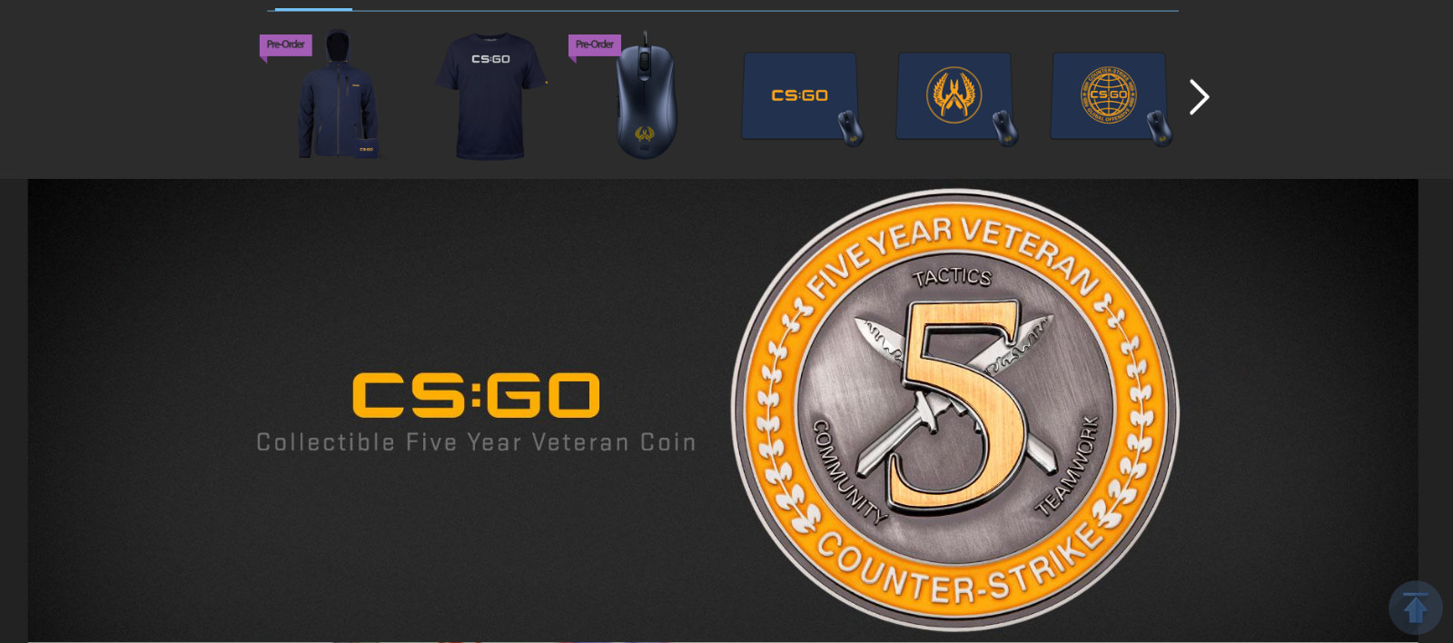 Authentic CSGO 5 Year Veteran Coin/Medal Valve Corporation Counter Strike Merch
