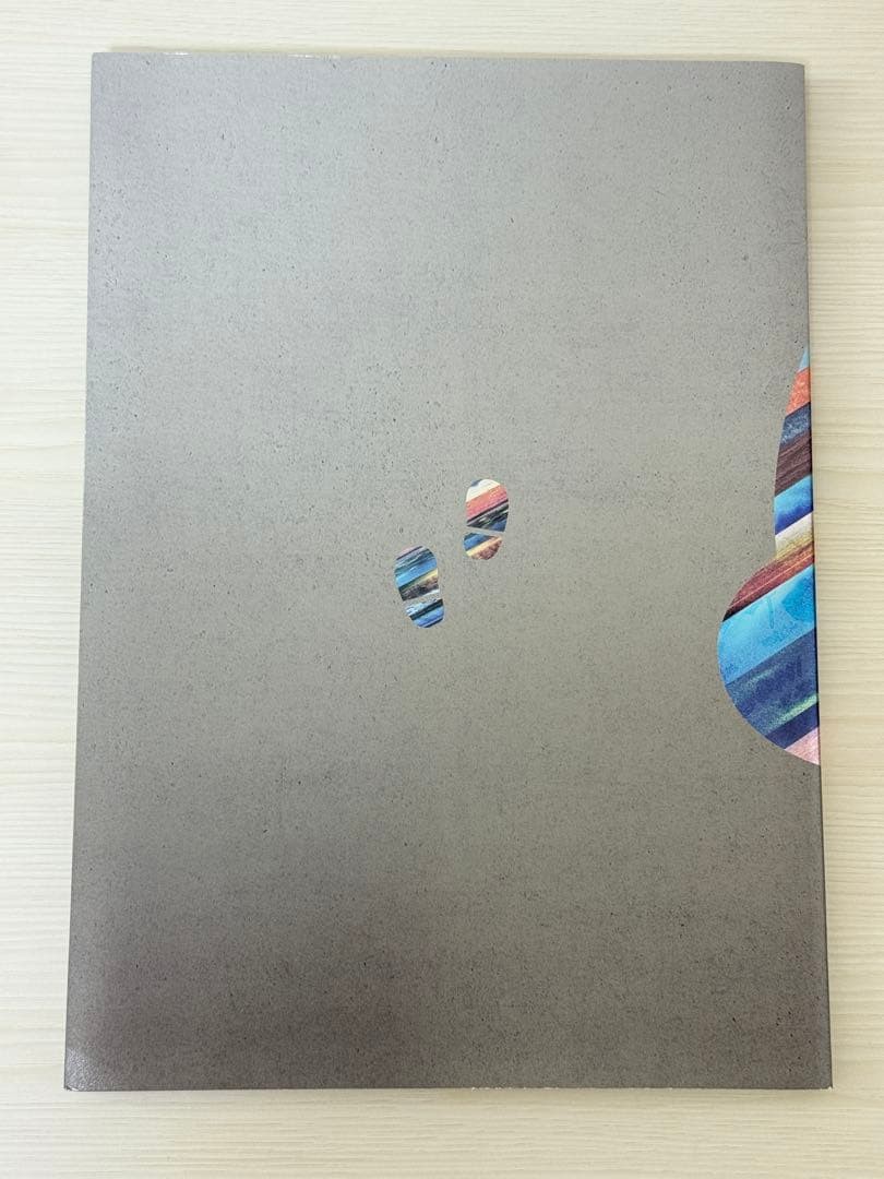 [Rare, Excellent Condition] Nintendo Company Guide 2017 / Includes mailing envel