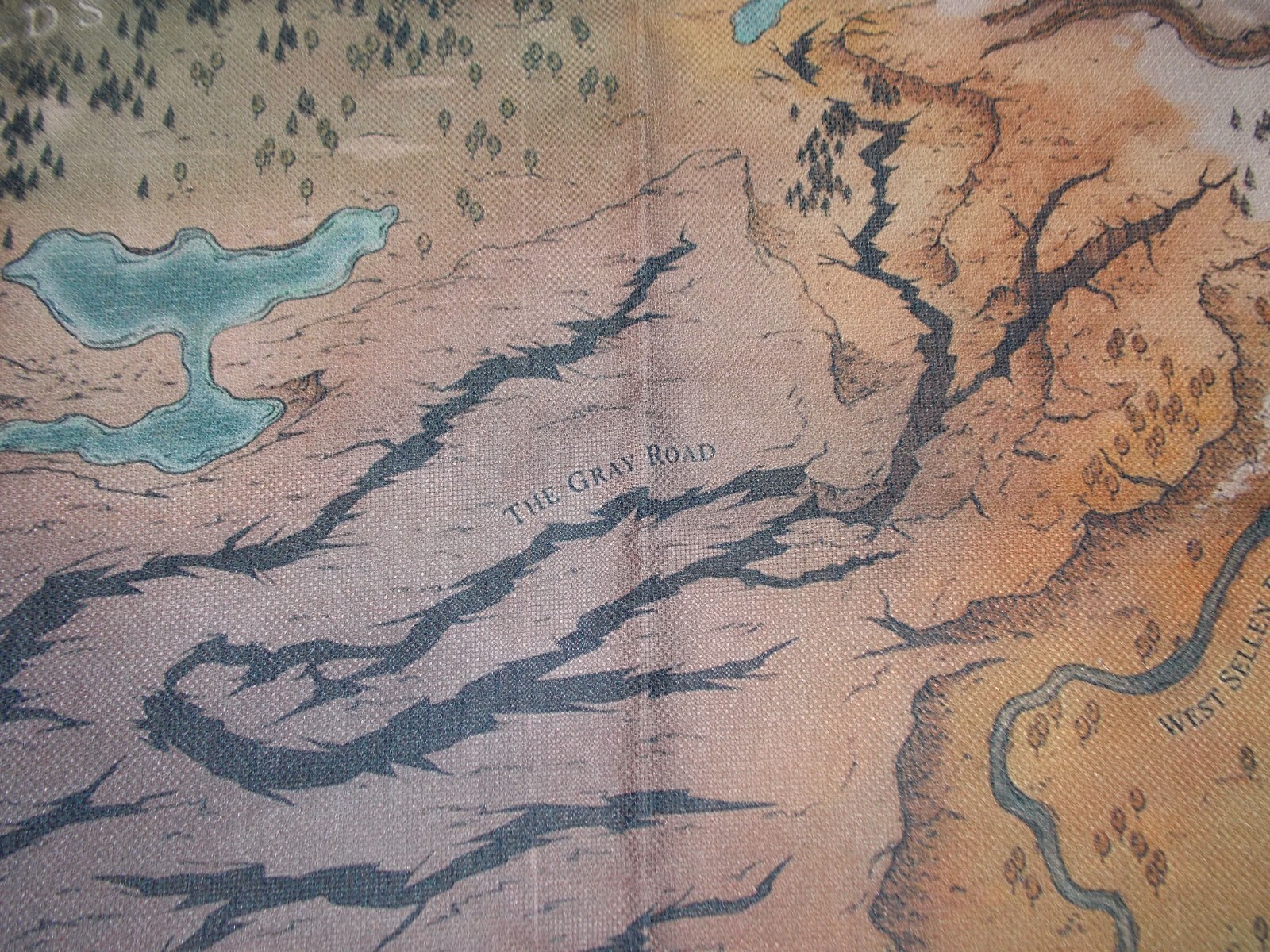 Pathfinder Wrath of the Righteous Video Game Collection Cloth World Map