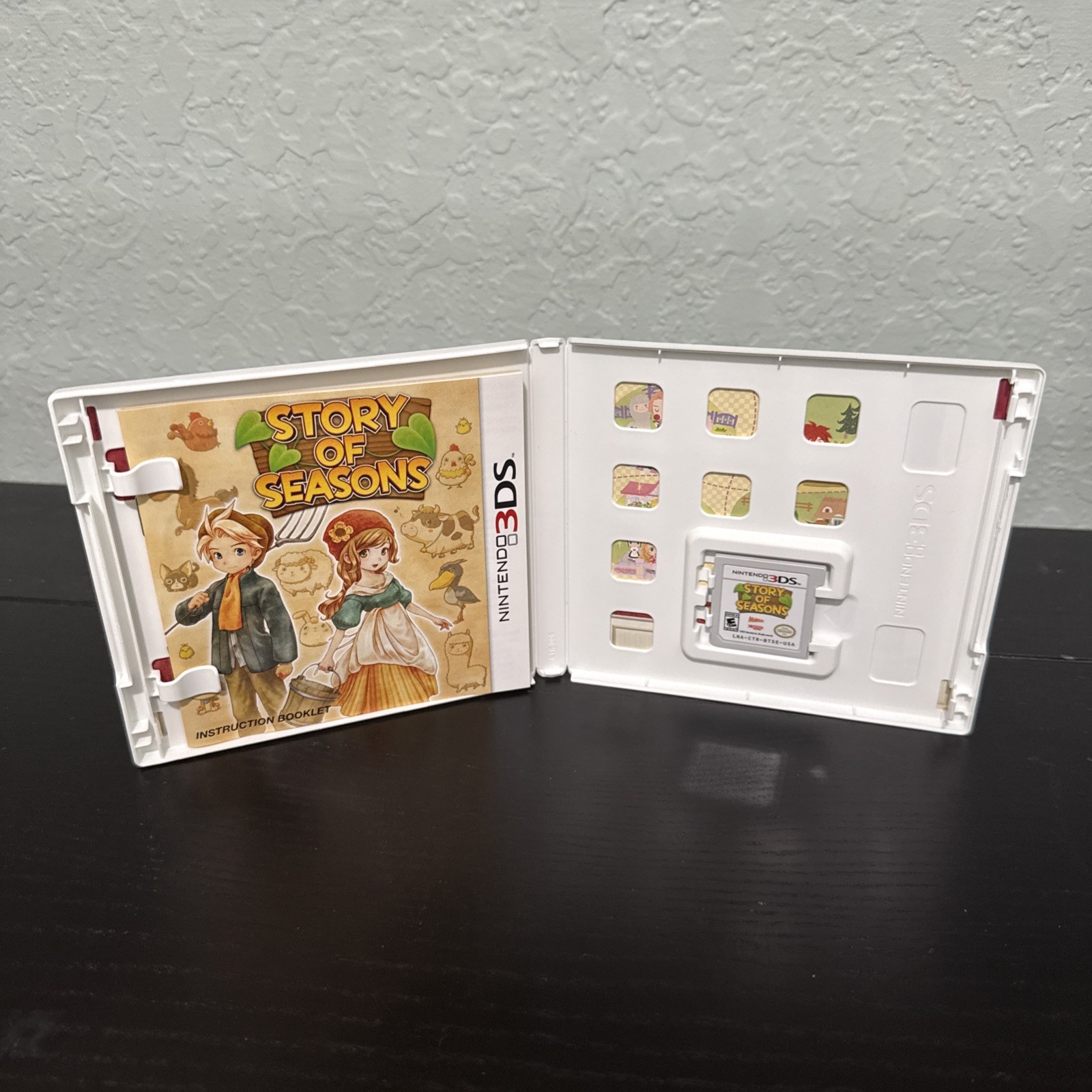 Story of Seasons (Nintendo 3DS, 2015)