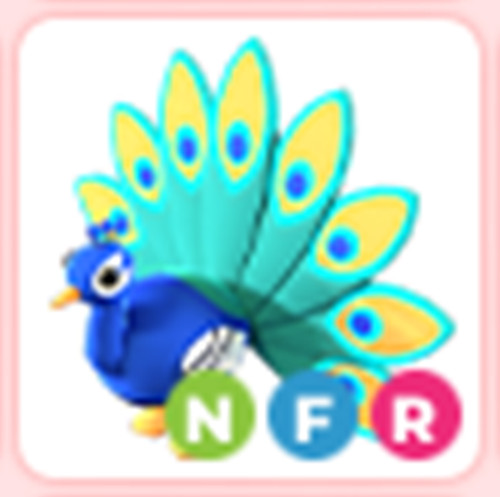 NFR peacock |Fast Delivery